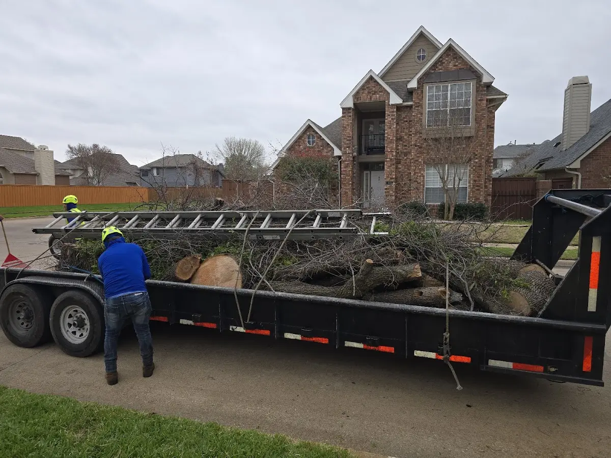 Expert Tree Fertilization with proper safety equipment in Brule